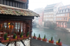 MG_5561