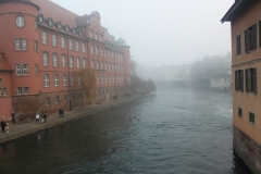 MG_5565
